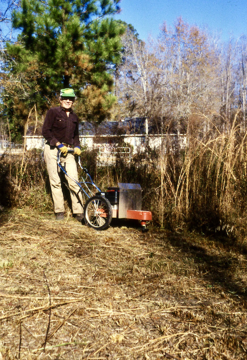 Dr beaver blade hotsell